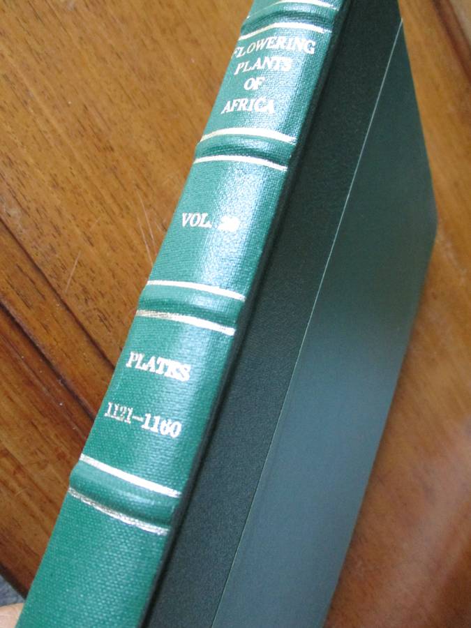 Flowering Plants of Africa Vol.29  R. Allen Dyer