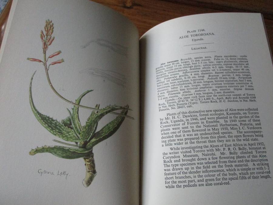 Flowering Plants of Africa Vol.29  R. Allen Dyer