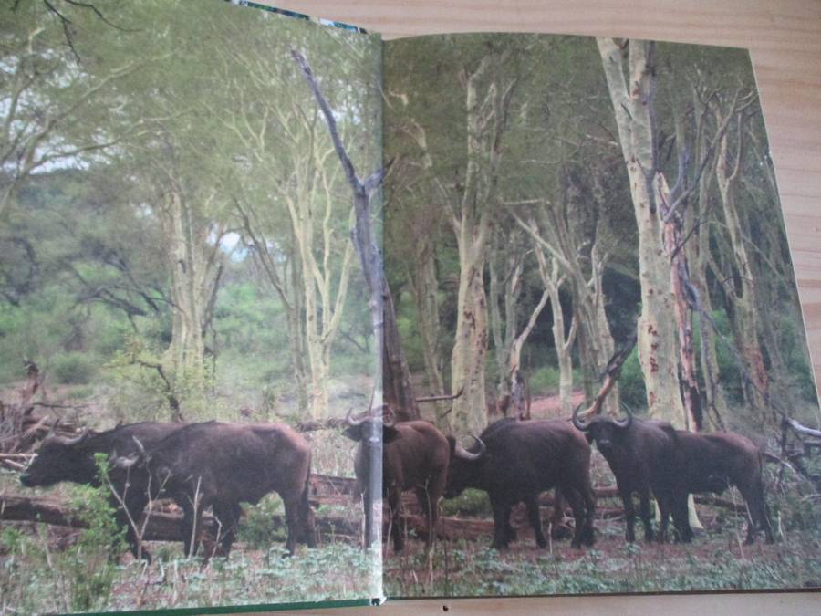 Remarkable trees of South Africa  N. Esterhuyse, J. von Breitenbach, H. Sohnge, I. van der Merwe