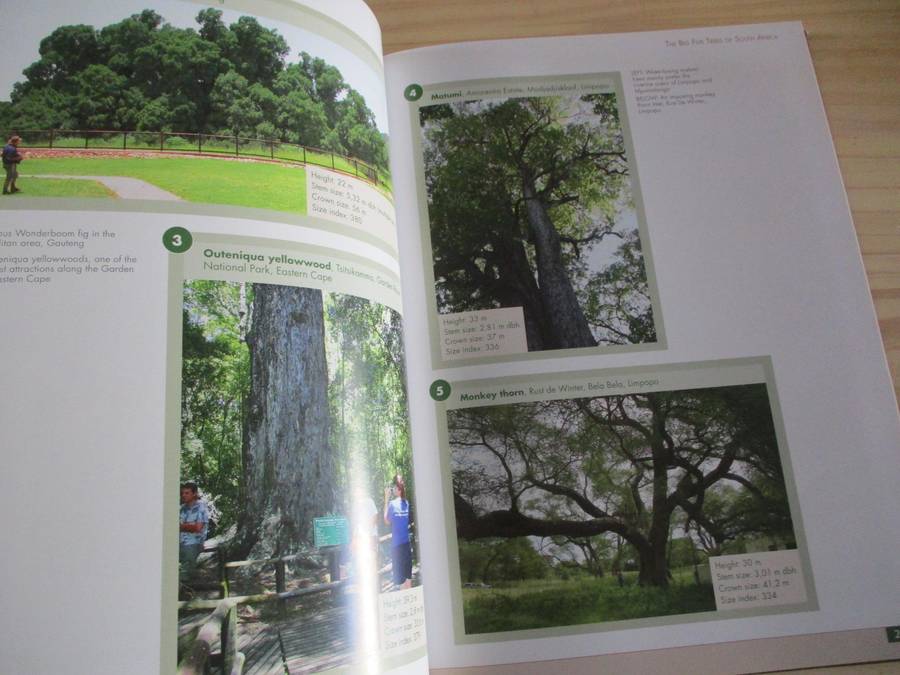 Remarkable trees of South Africa  N. Esterhuyse, J. von Breitenbach, H. Sohnge, I. van der Merwe