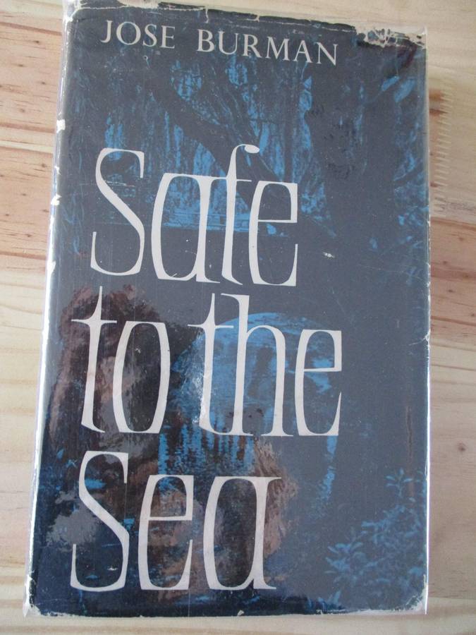 Safe to the sea  Jose Burman