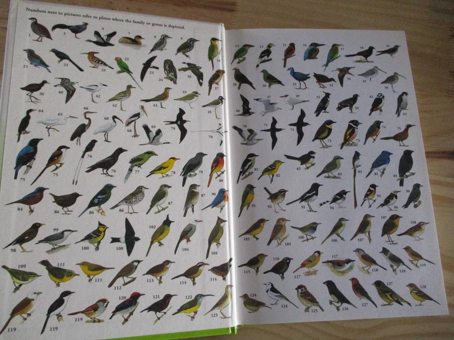 Birds of Thailand  Craig Robson