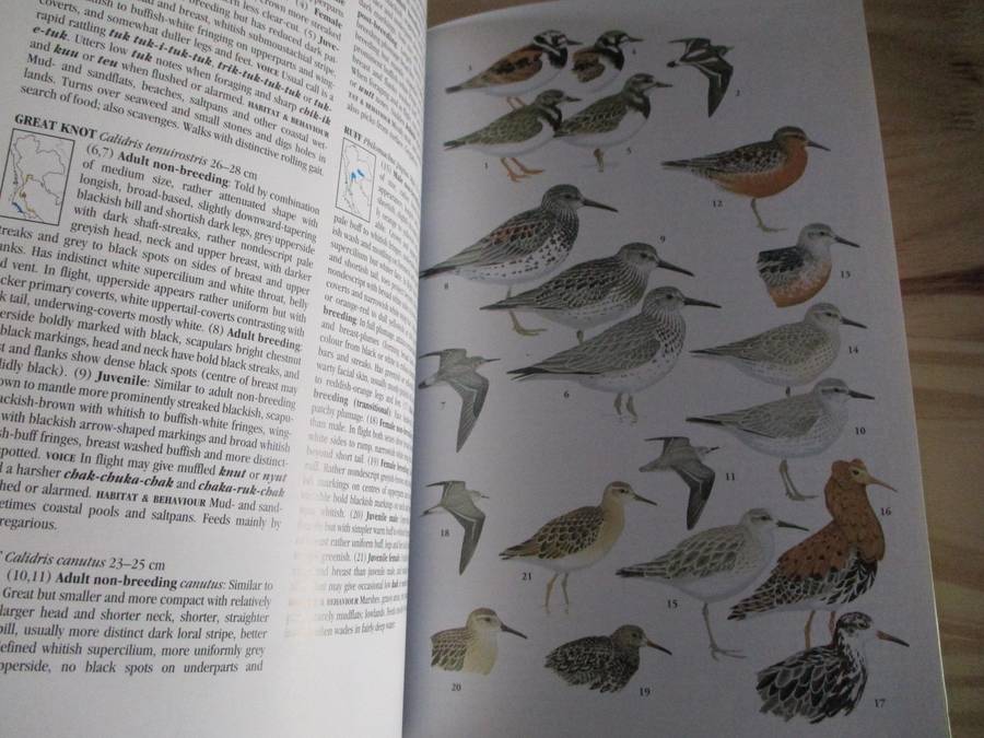 Birds of Thailand  Craig Robson