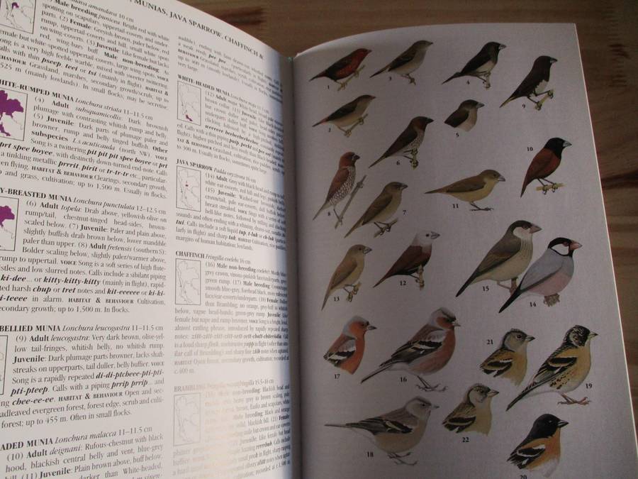 Birds of Thailand  Craig Robson