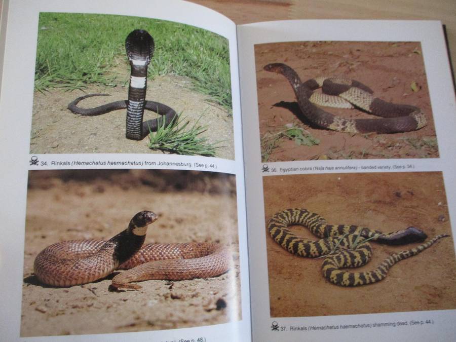 Snake verus man  Joahn Marias A guide to dangerous and common snakes of Southern Africa