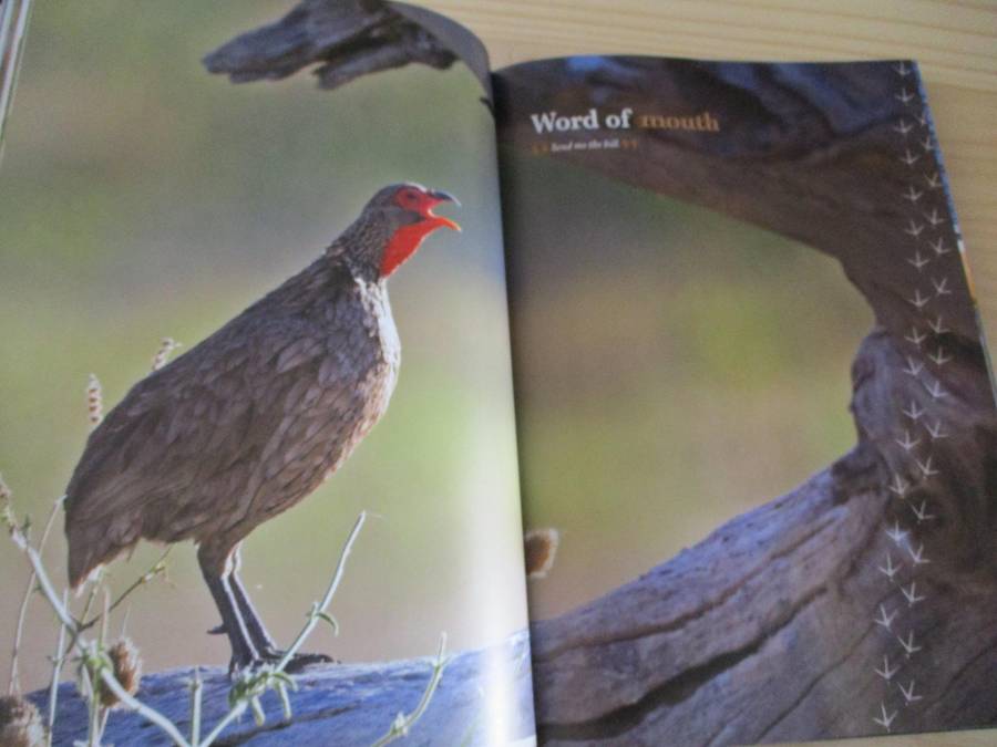 SIGNED. Birds of Naminia  The Journey Continues  Pompie Burger
