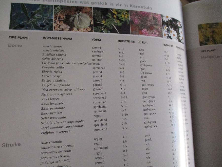 Waterbesparende Inheemse Tuinmaak - Ernst van Jaarsveld