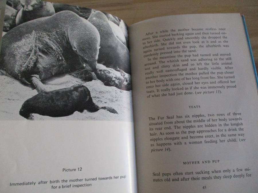 The Fur Seal of Southern Africa. SIGNED - WH Zur Strassen