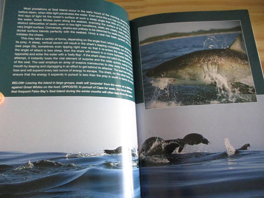 South Africa's Great White Shark
