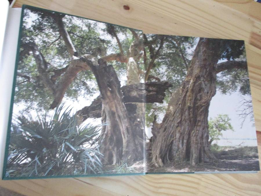 In Search of Remarkable Trees - On Safari in Southern Africa. By Thomas Pakenham