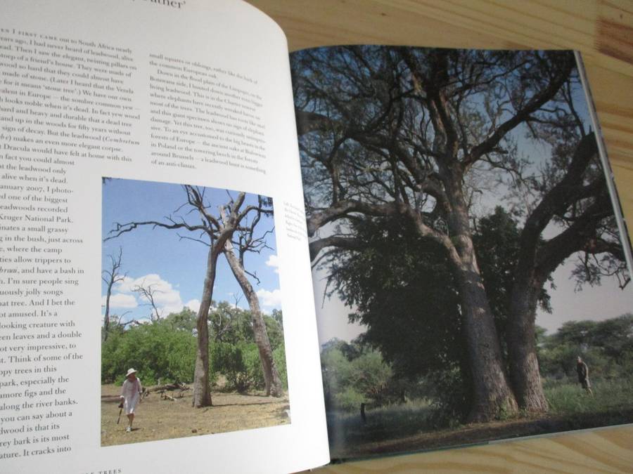 In Search of Remarkable Trees - On Safari in Southern Africa. By Thomas Pakenham