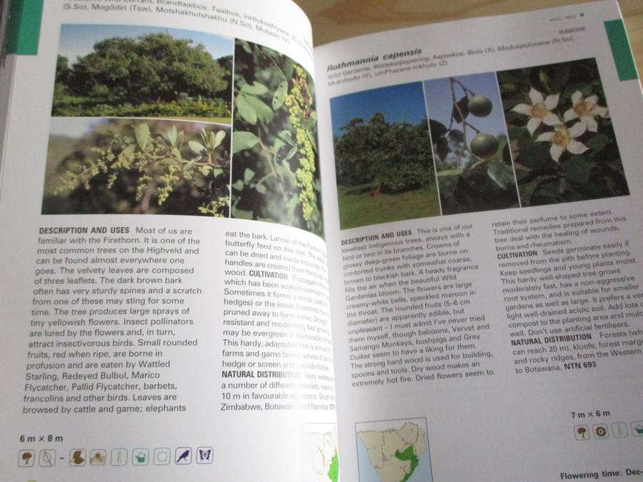 Creative Gardening with INDIGENOUS PLANTS - A South African Guide
