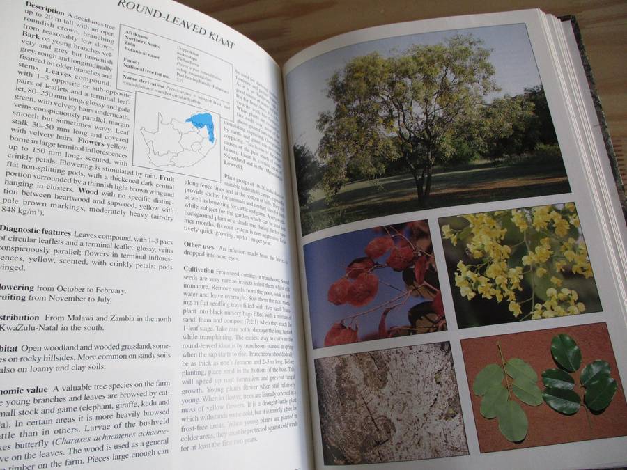 Making the Most of INDIGENOUS TREES