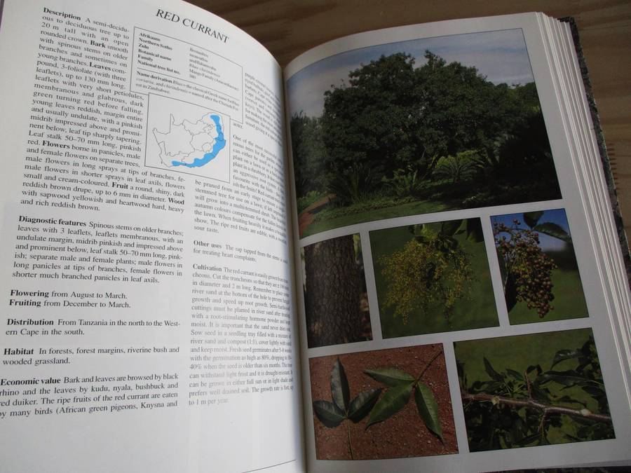 Making the Most of INDIGENOUS TREES
