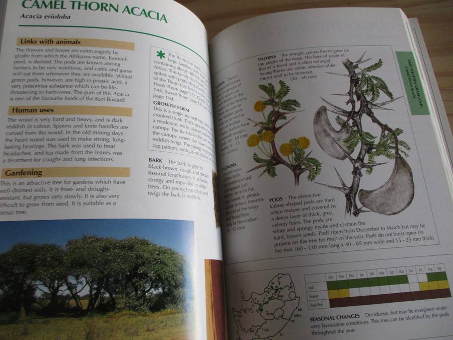 Sappi Tree Spotting - HIGHVELD AND THE DRAKENSBERG