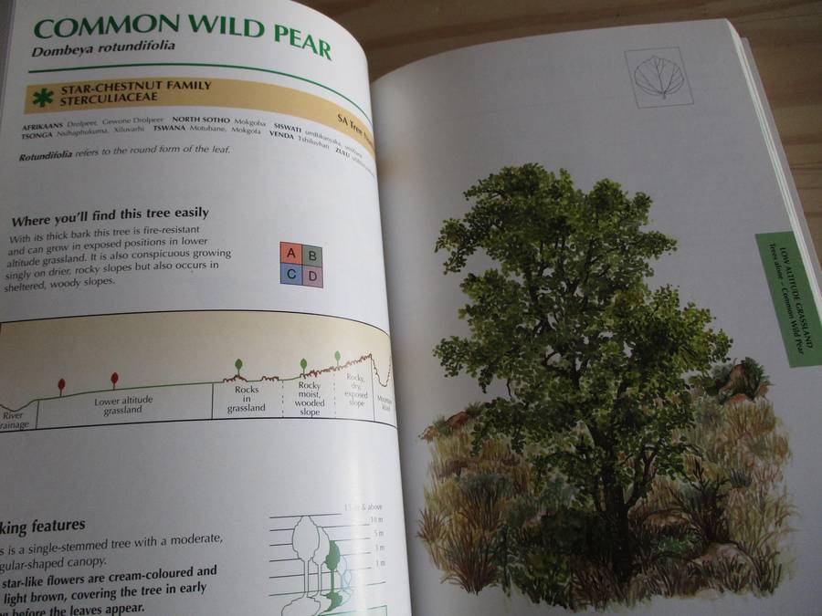 Sappi Tree Spotting - HIGHVELD AND THE DRAKENSBERG