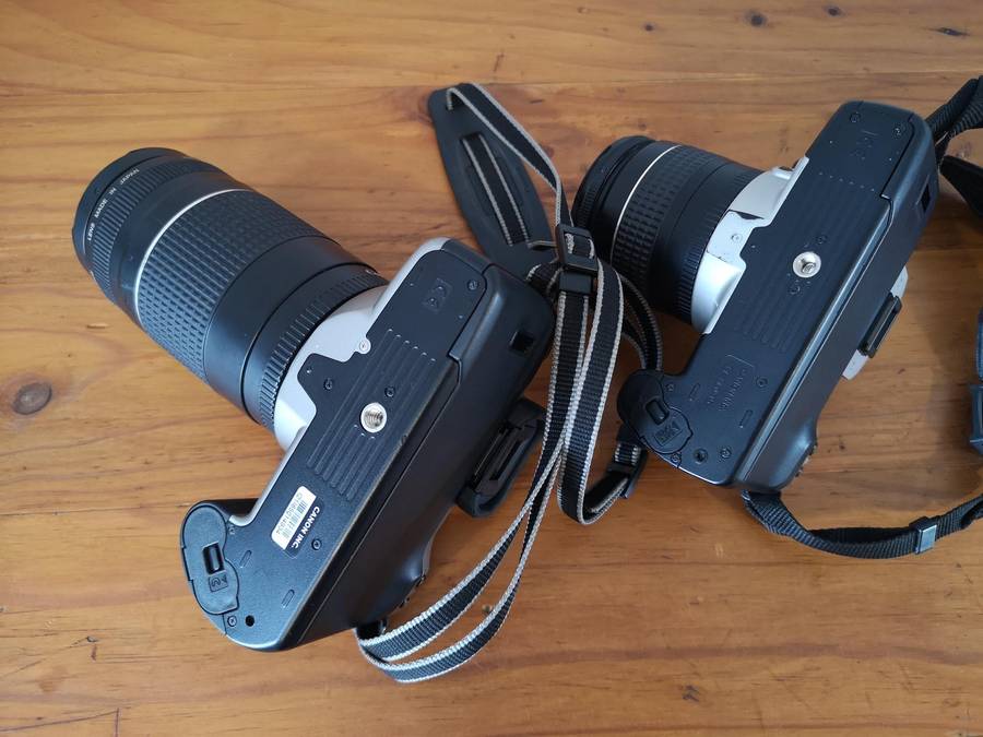 Two Canon EOS 35mm film cameras