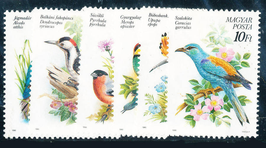 Hungary - 1990 - Birds - set of 6 mint unhinged . SG 3960-3965 .