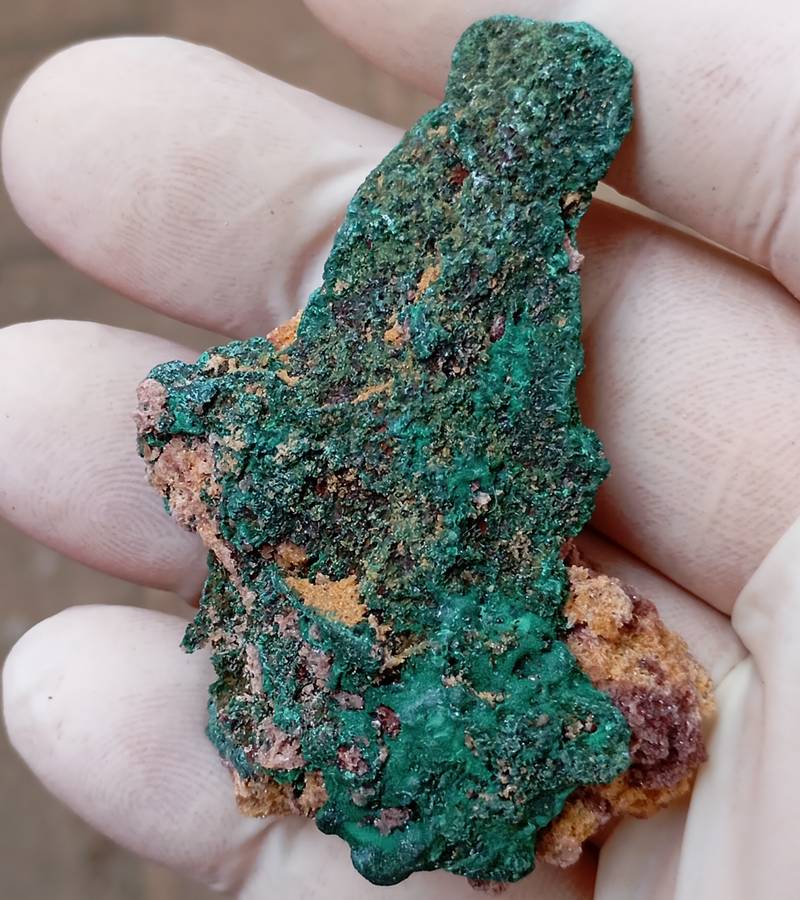 Malachite pseudomorph after baryte - Kolwezi mining district DRC Congo