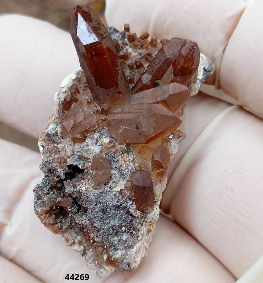 Hematite in quartz - Orange River N Cape South Africa