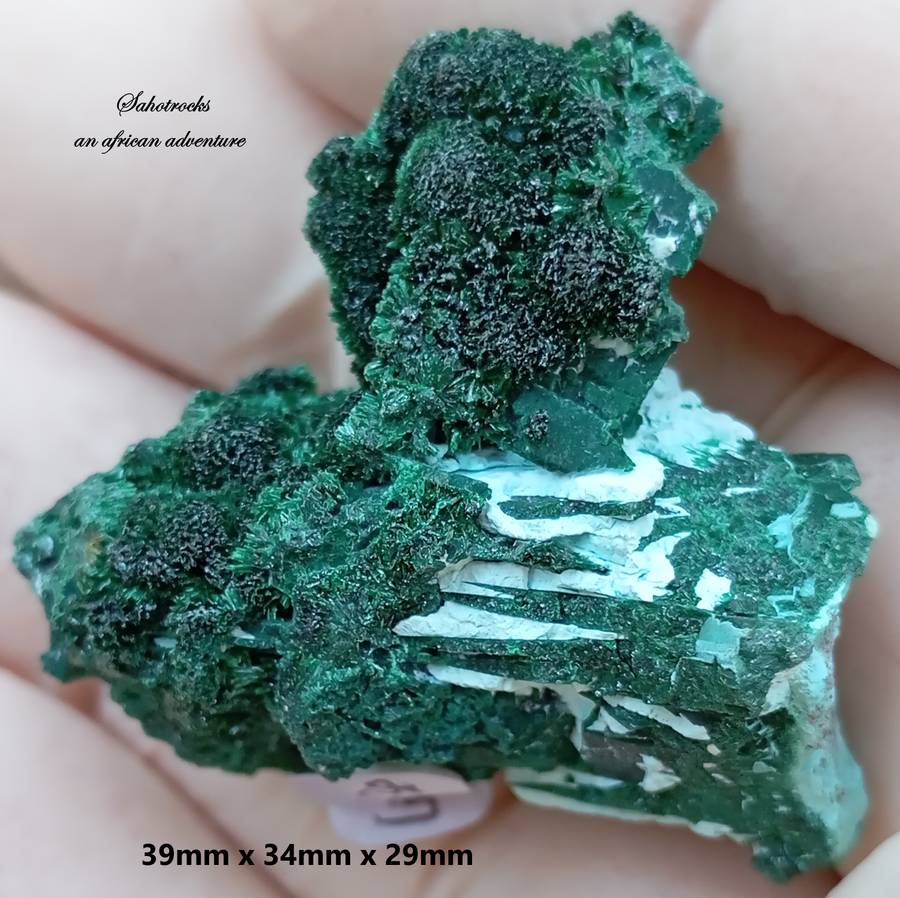 Malachite chrysocolla - Mashamba West mine DRC Congo