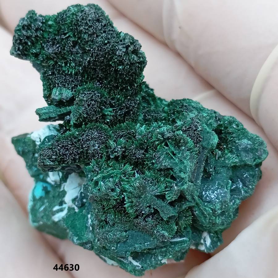 Malachite chrysocolla - Mashamba West mine DRC Congo