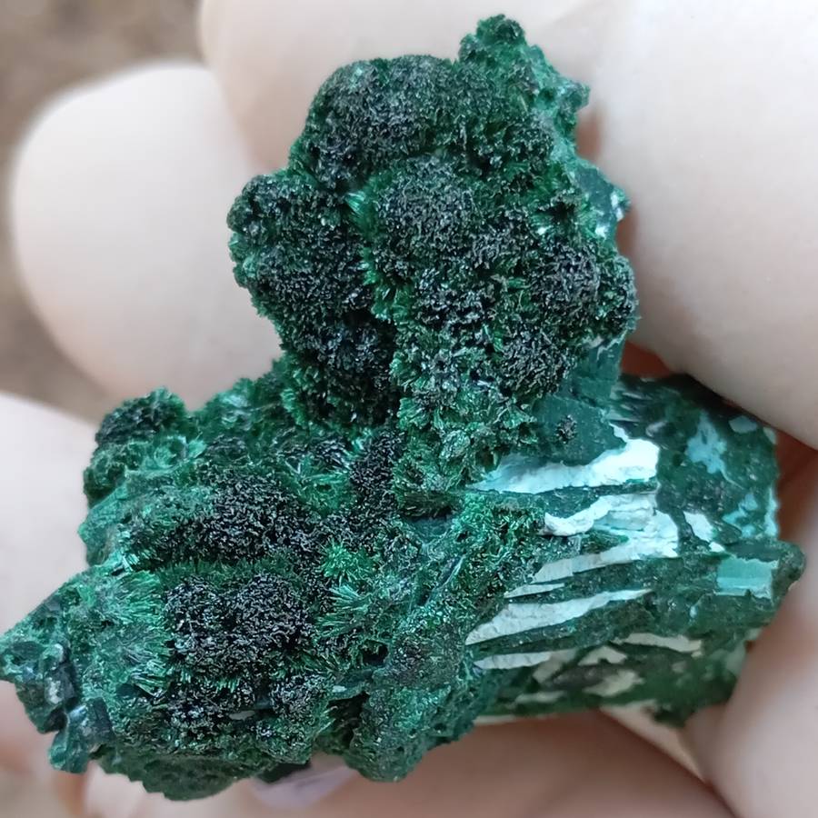 Malachite chrysocolla - Mashamba West mine DRC Congo