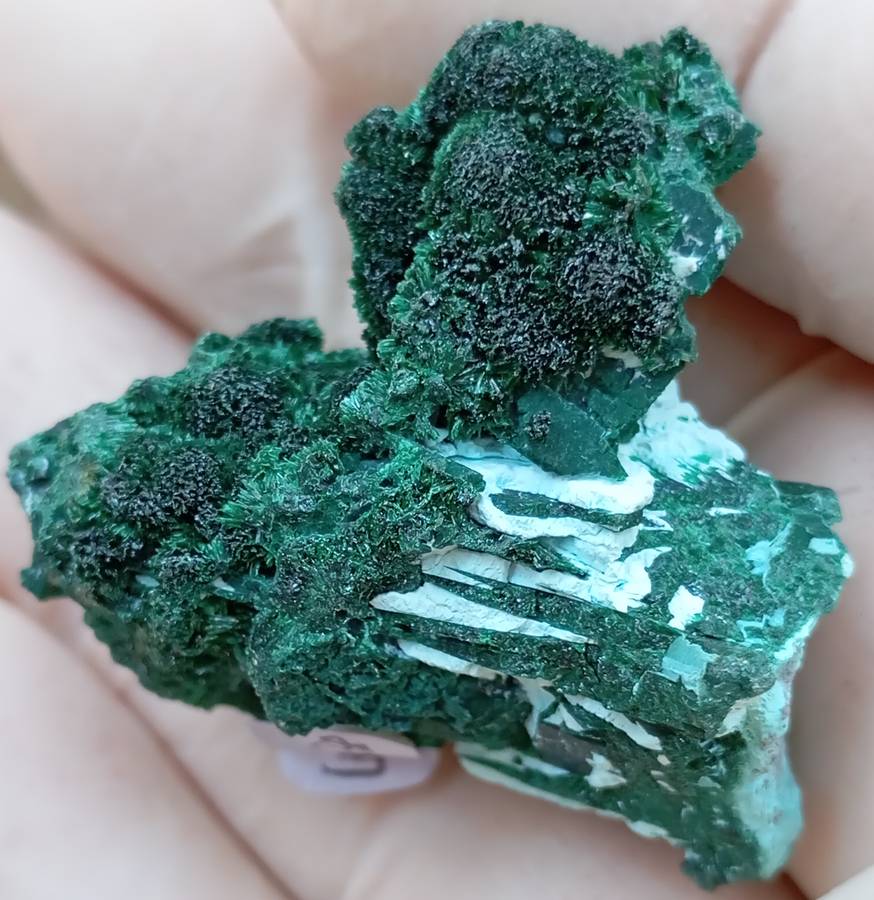 Malachite chrysocolla - Mashamba West mine DRC Congo