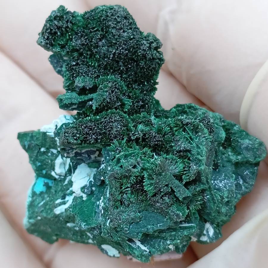 Malachite chrysocolla - Mashamba West mine DRC Congo
