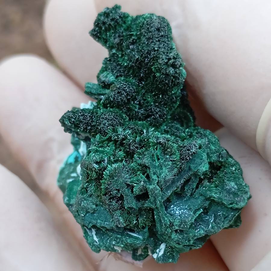 Malachite chrysocolla - Mashamba West mine DRC Congo