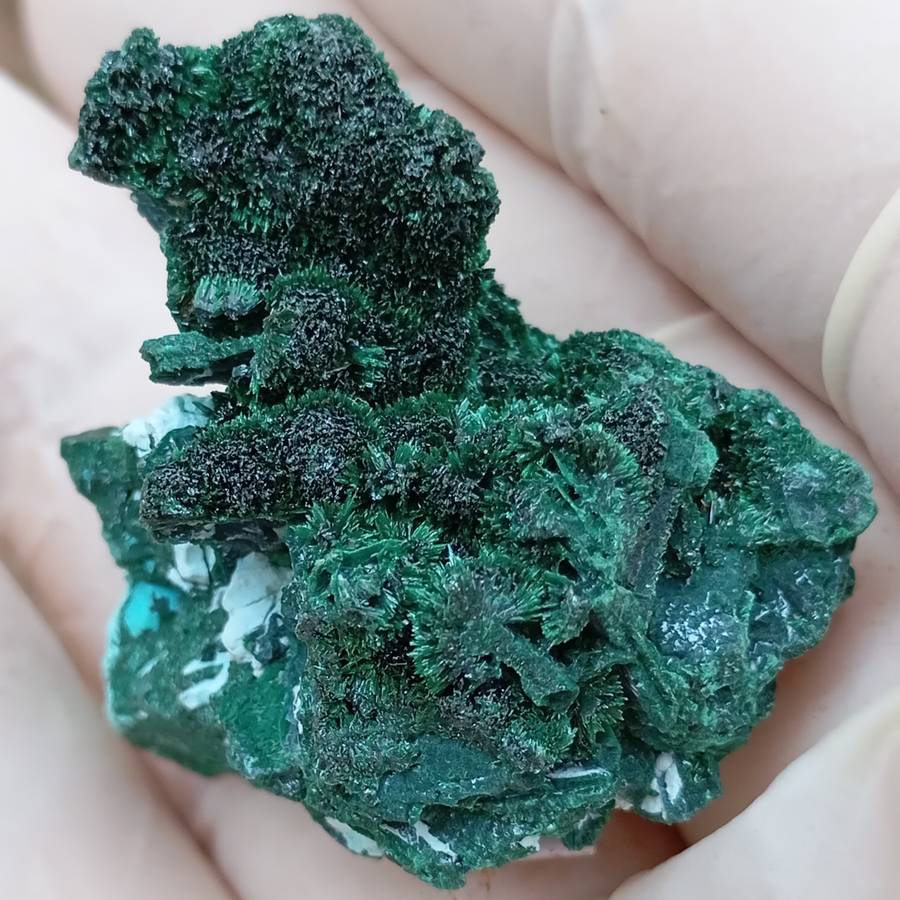 Malachite chrysocolla - Mashamba West mine DRC Congo