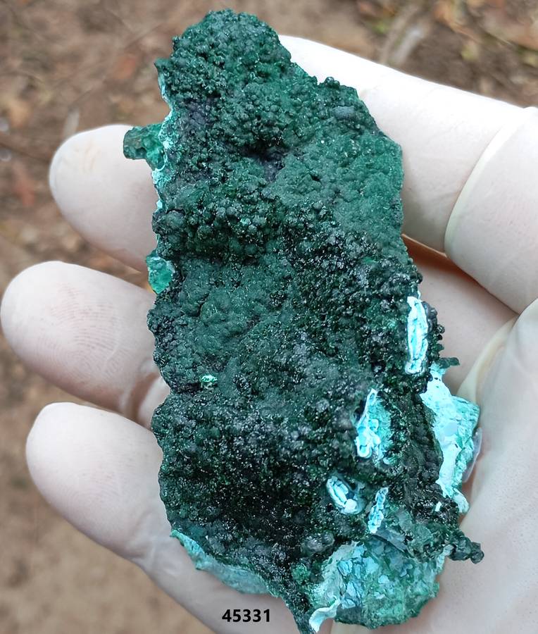 Malachite chrysocolla heterogenite - Tenke Fungurume mine DRC Congo