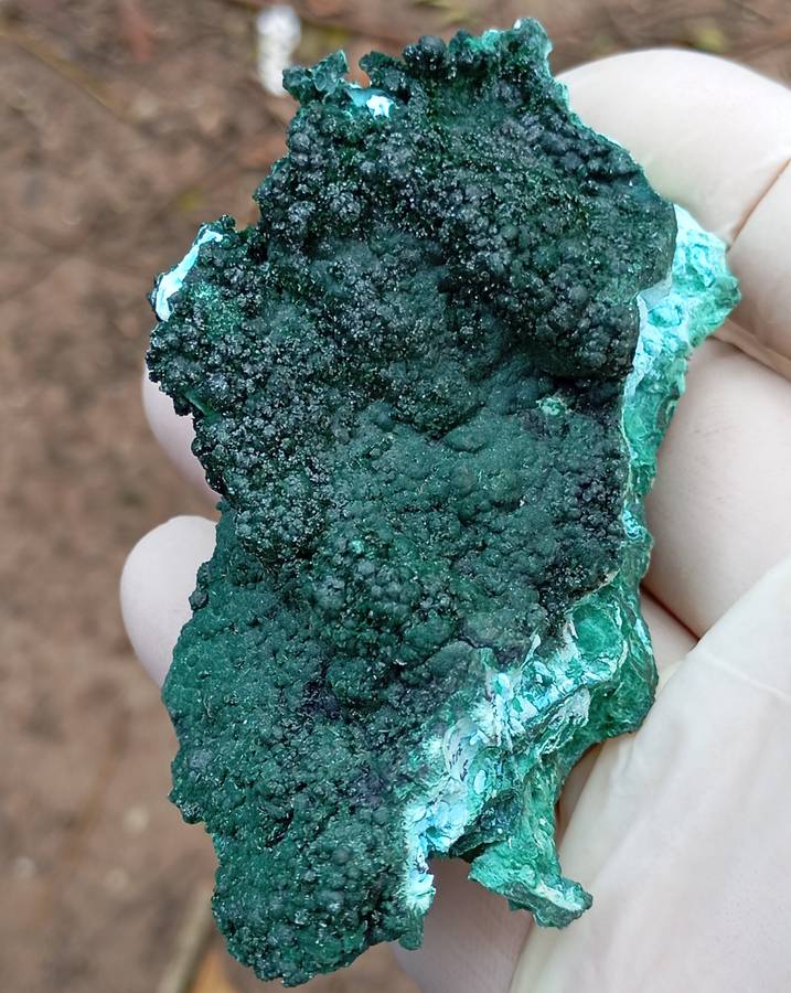 Malachite chrysocolla heterogenite - Tenke Fungurume mine DRC Congo