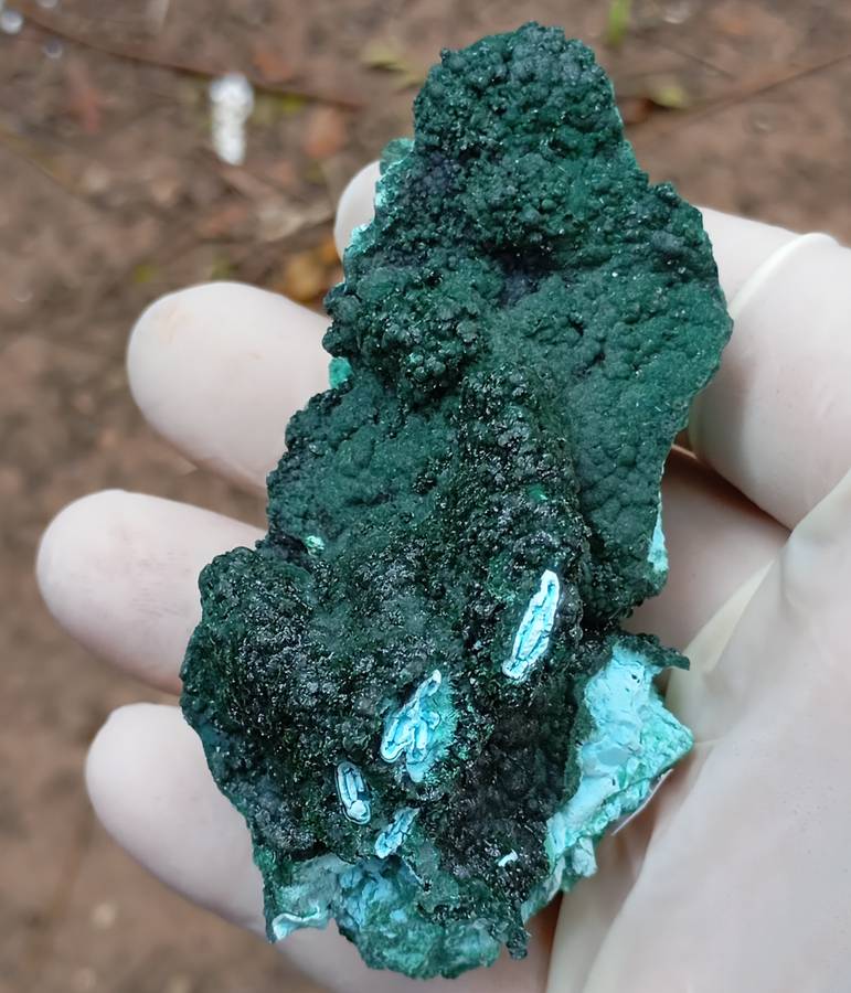 Malachite chrysocolla heterogenite - Tenke Fungurume mine DRC Congo