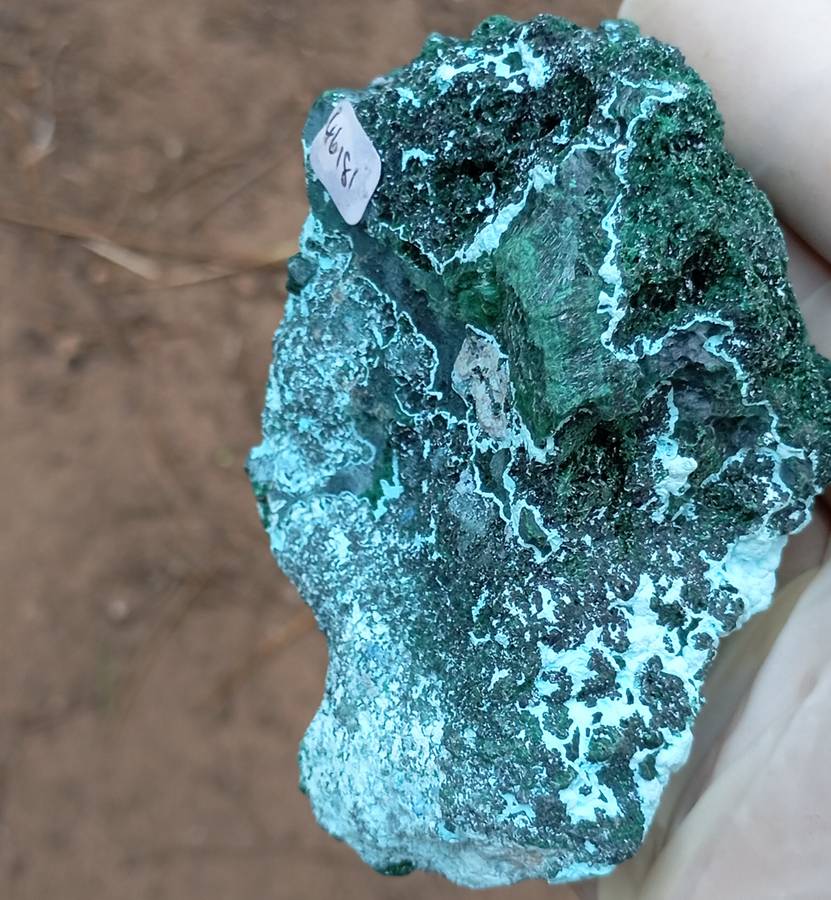 Malachite chrysocolla - Mashamba West mine DRC Congo