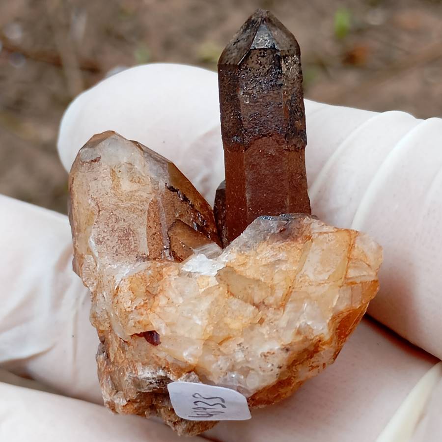 Hematite in quartz - Orange River N Cape South Africa