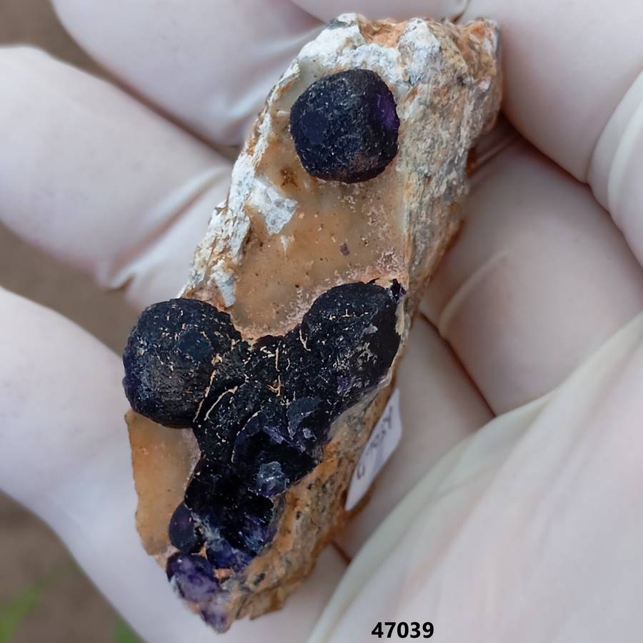 Fluorite - Orange River N Cape South Africa