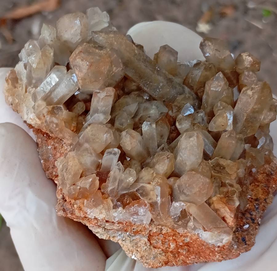Quartz - Orange River N Cape South Africa