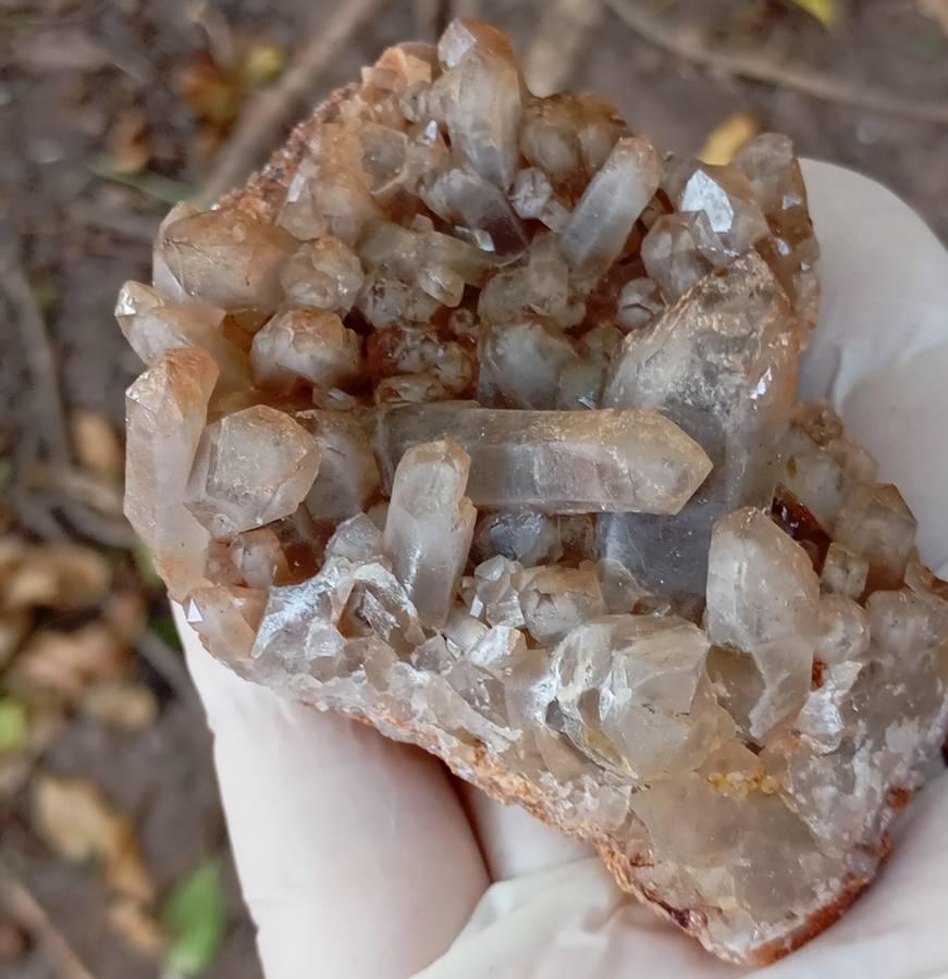 Quartz - Orange River N Cape South Africa
