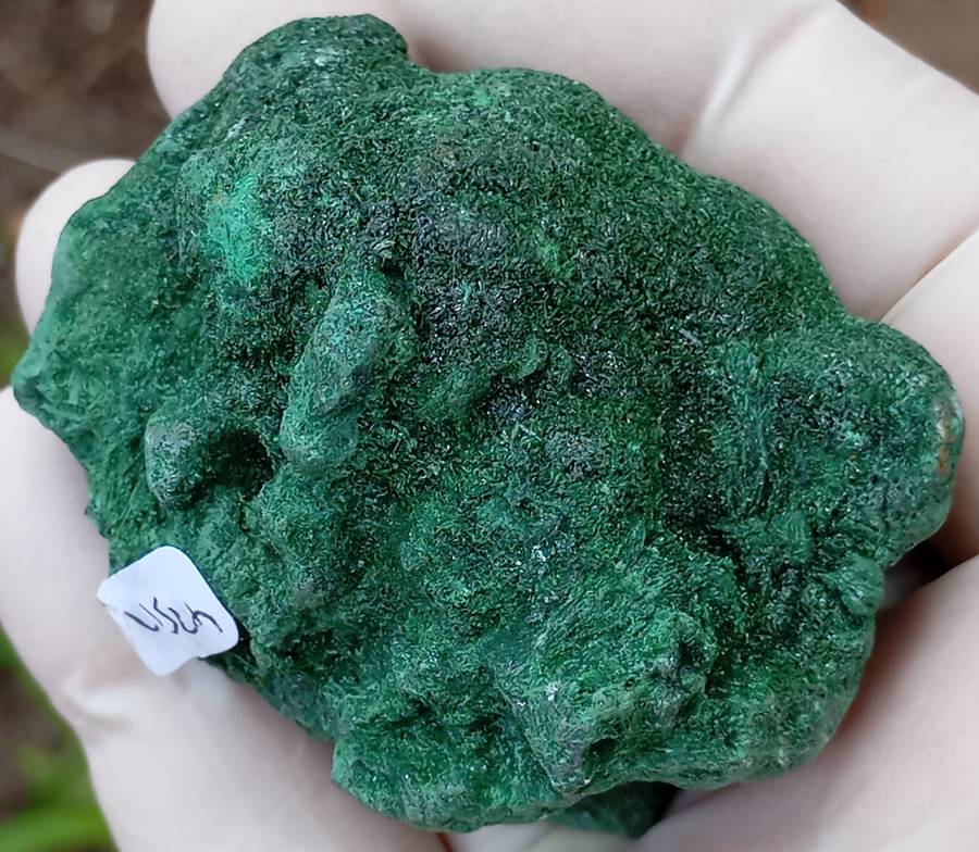 Malachite - Mashamba West mine DRC Congo