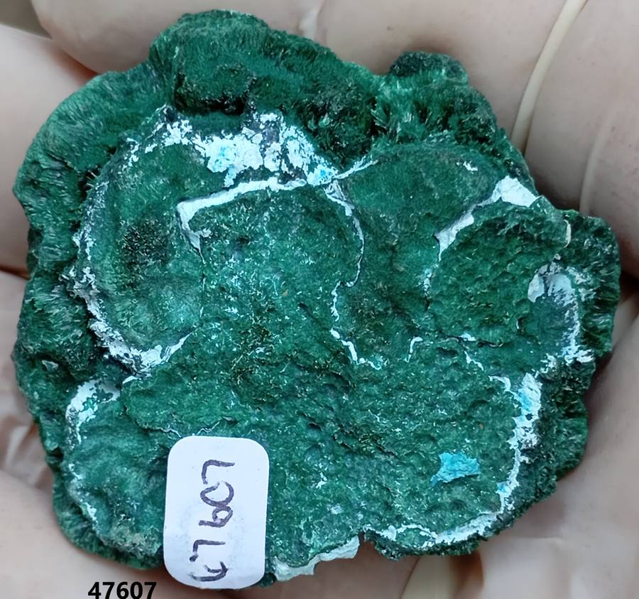 Malachite chrysocolla - Mashamba West mine DRC Congo
