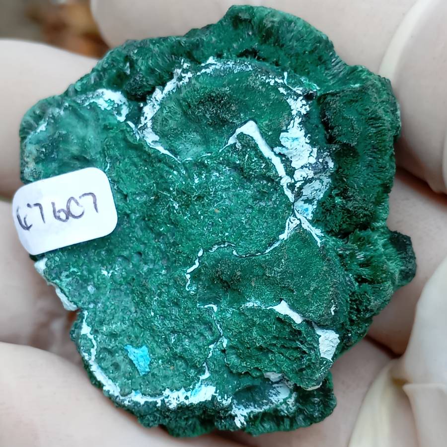 Malachite chrysocolla - Mashamba West mine DRC Congo