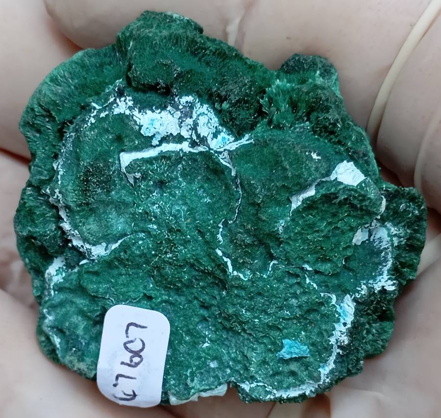 Malachite chrysocolla - Mashamba West mine DRC Congo
