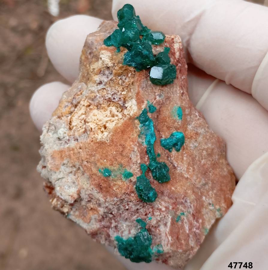 Dioptase quartz - Kolwezi mining district DRC Congo