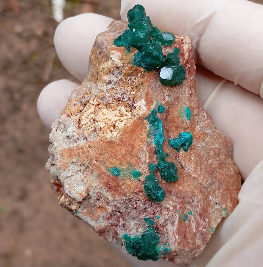 Dioptase quartz - Kolwezi mining district DRC Congo