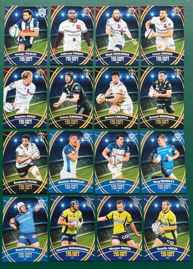 Rugby Cards - 2018 Panini French Top 14 Rugby Cards (67)
