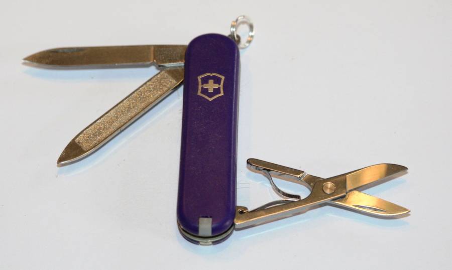 Victorinox - 58mm - Swiss Army Knife - (Classic) with name Denise