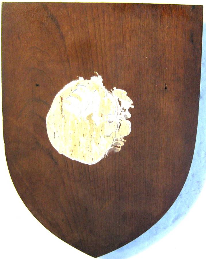 SAAF TEST FLIGHT DEVELOPMENT CENTRE METAL BADGE ON SHIELD IN GOOD USED CONDITION