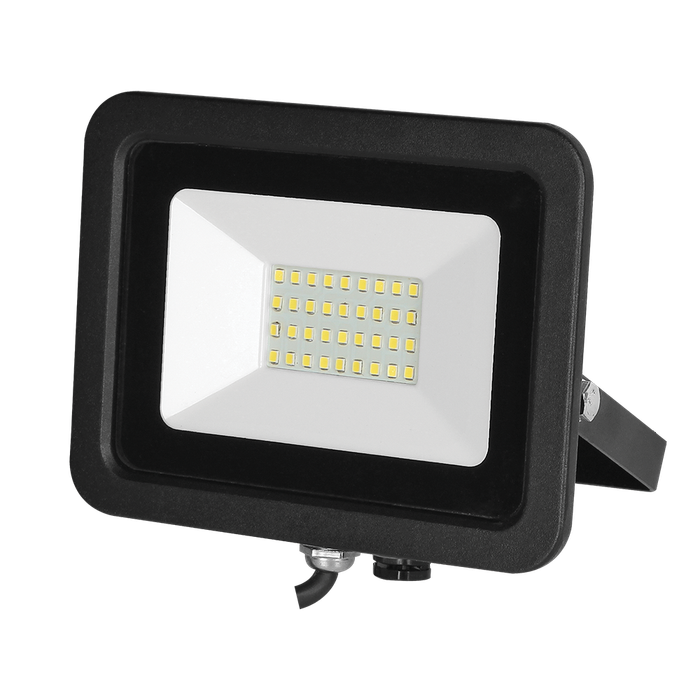 230VAC 30W Floodlight Red/Green/Blue+W C/W Remote