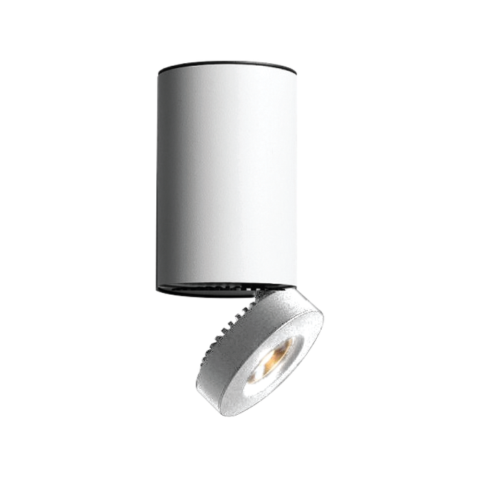 Modern Ceiling Spotlight 12W White CW